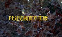 PI浏览器官方正版
